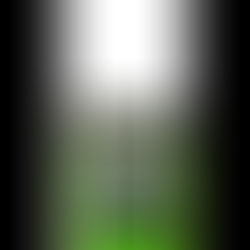 2023 Scholarship winners