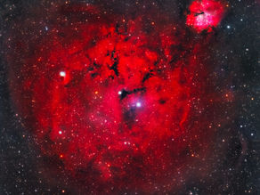 Have a sweet Gum, a red one:GUM 15& 14!