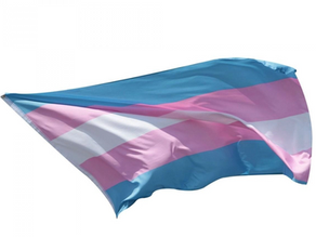 Transitioning skin - the nuances of supporting skin on HRT