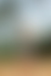 Free Shipping All the Time