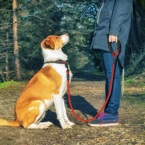 Thumbnail: Reflective Large Dog Leash Nylon Rope Pet Running Tracking Leashes Long Lead Dog