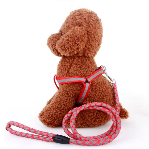 Thumbnail: Dog Leash Light Reflective Pet Dog Traction Rope Luminous Dog Chest Strap Large