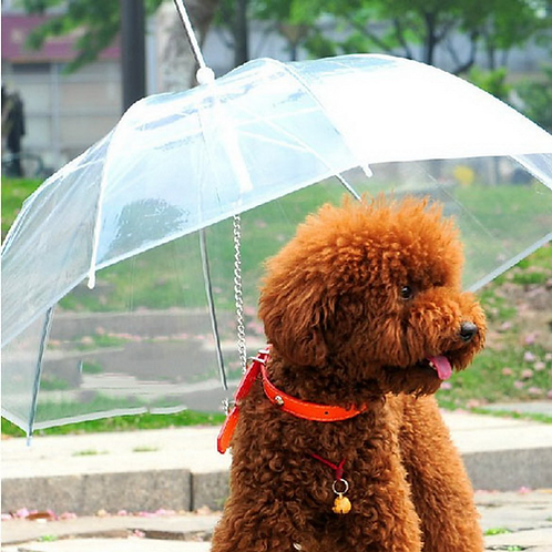 dog rain umbrella
