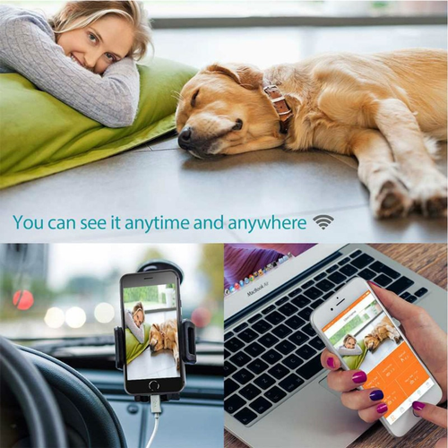 Thumbnail: Auto Pet Feeding Machine House Smart Feeder Dog Cat Food Dispenser 4.5L Large