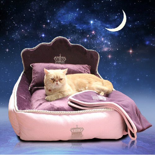 Luxury Princess Pet Bed With Pillow Blanket Dog Bed Cat Bed Mat Sofa