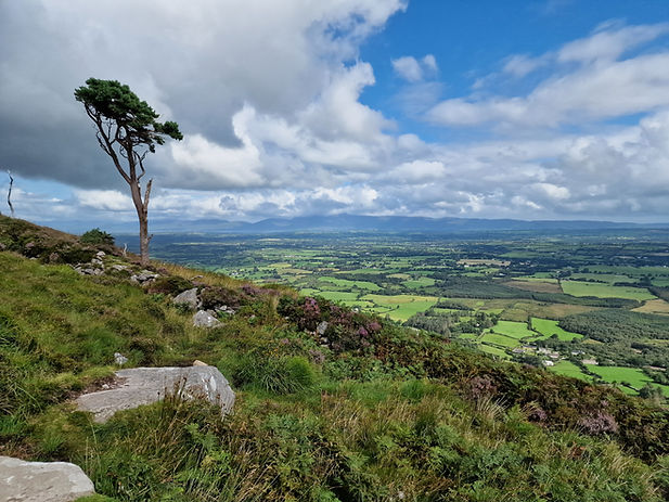 Dunloe medical background.jpg