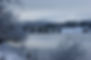 DSC00650.JPG