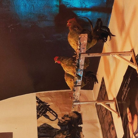 chickens.jpeg