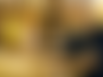 Welcome to "The Workshop"