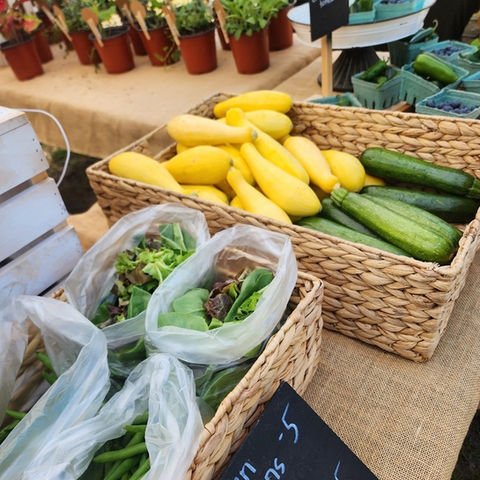 MICRO FARM LOCAL PRODUCE SUMMERVILLE RIDGEVILLE.jpg