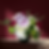 The Color Of Pomegranates $200 $250