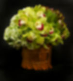 Lush Garden $200