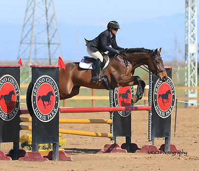 8e8a5656 copy_fotor_0.JPG