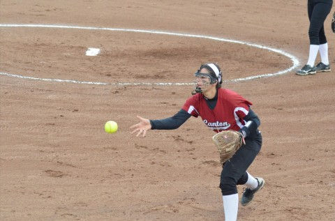 Allison Phillips