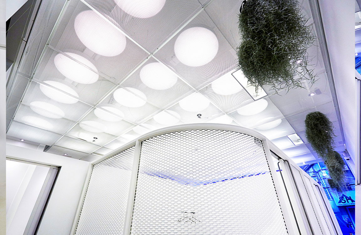 About | 이십사절기