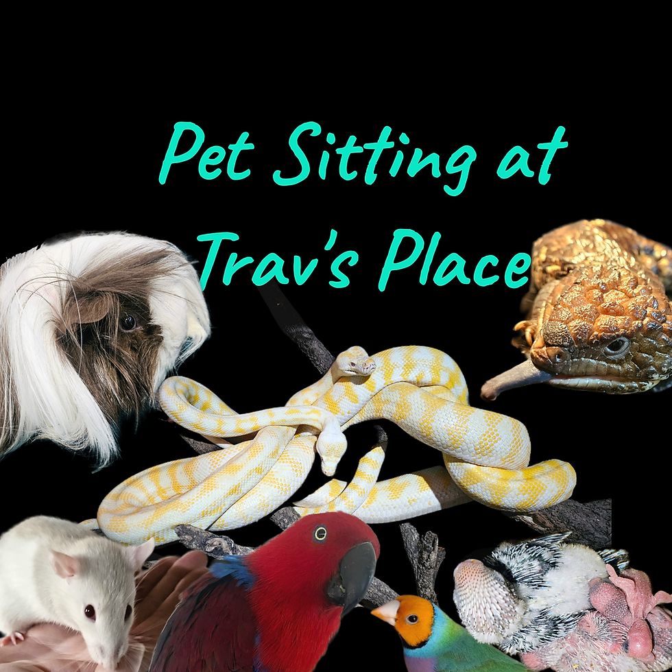 Animal homes and consulting care services at Trav's Place.
