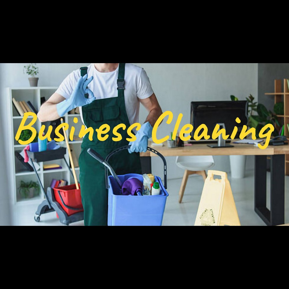 Professional business cleaning