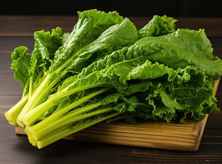 shutterstock_1898354080_edited.jpg