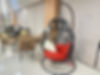 INDOOR & OUTDOOR SWINGS