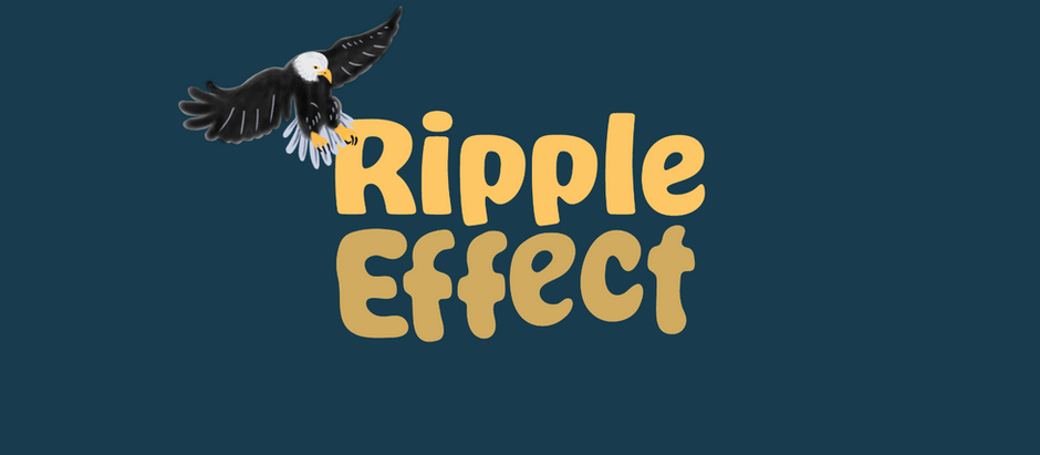 Ripple Effect Workshop Sparks Connection and Conservation in Royal City