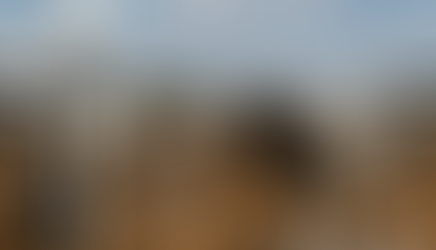 Climate-Smart Dairy Farming: Research & Demonstration Field Day 