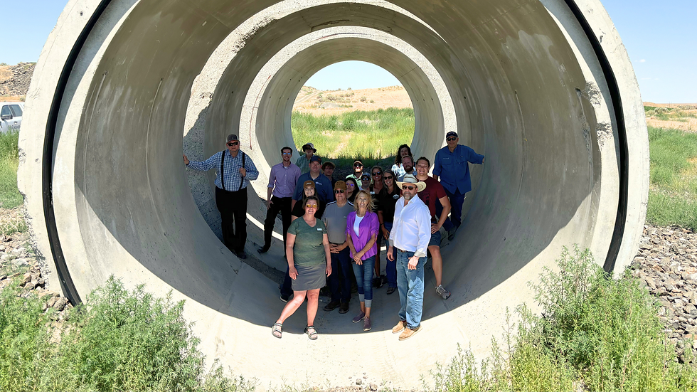 Group of people standing inside a large concrete pipe tunnel, smiling. Sunny outdoor setting with grass and rocks around. Casual attire.