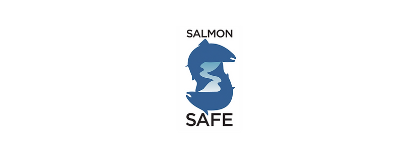 Salmon Safe logo in blue with outlines of two salmon