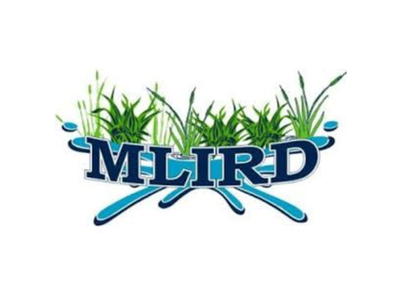 Gene's Corner: Lake Water Quality 2025