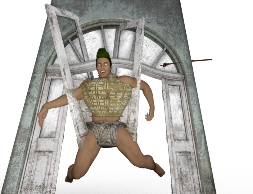 mr door