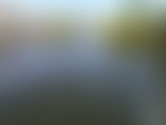 Belles photos du stage