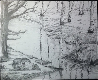 Peace in the woods drawing