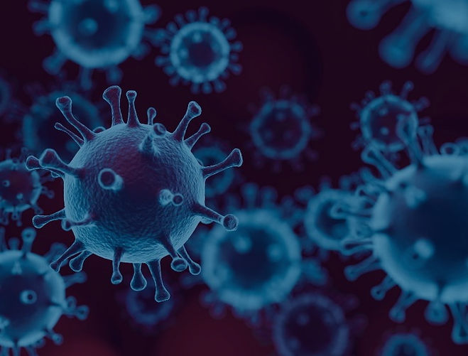 Covid virus_JONGHO SHIN_726x552_edited.jpg