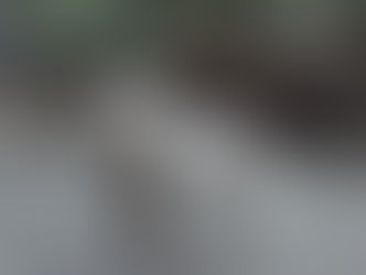 I Found a Pet in the Antelope Valley. Now what?