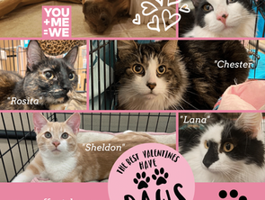 You are Pawsitivly the Best!