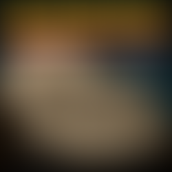 Fossile Schweinsohren: Warum Ohrmuscheln im Fossilbericht fast nie auftauchen