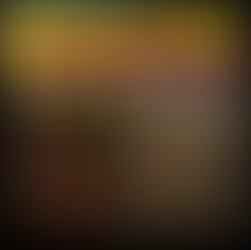 Fruchtbare Erde erhalten: Warum Humus, Regenwürmer und Bodenleben kein Selbstläufer sind