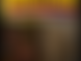 Fruchtbare Erde erhalten: Warum Humus, Regenwürmer und Bodenleben kein Selbstläufer sind