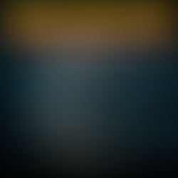 Konvergente Körperformen verstehen: Warum Delfin, Hai und Ichthyosaurus ähnlich gebaut sind, ohne nah verwandt zu sein