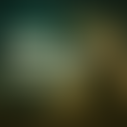 UFO in Roswell – Was wirklich 1947 vom Himmel fiel