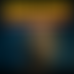 Namen und Identität: Was Vornamen, Ortsnamen und Markennamen über Gesellschaft verraten