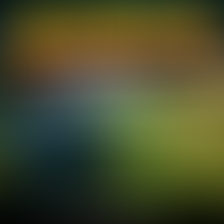 Algenblüten verstehen: Wie Nährstoffe, Wärme und Wasser ganze Ökosysteme kippen lassen