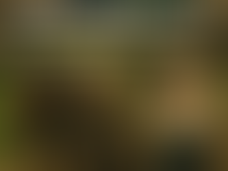 Mittelalter-Realität vs. Netflix: Wo blieben die 90%?