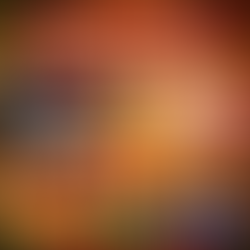 Weihnachtsgeschenke Trends 2025: Wie Algorithmen, Axolotl und Aromatrends unsere Wunschzettel schreiben