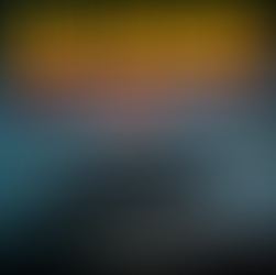 Waleuthanasie: Wann Töten der humanere Weg sein kann