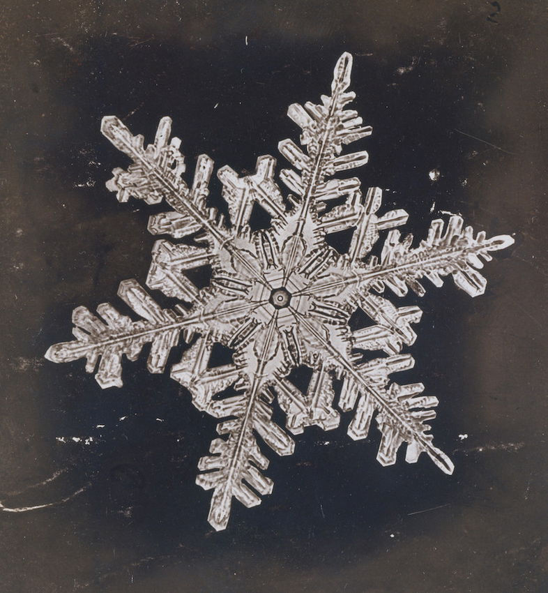 11. Wilson Bentley Snowflake Photographs