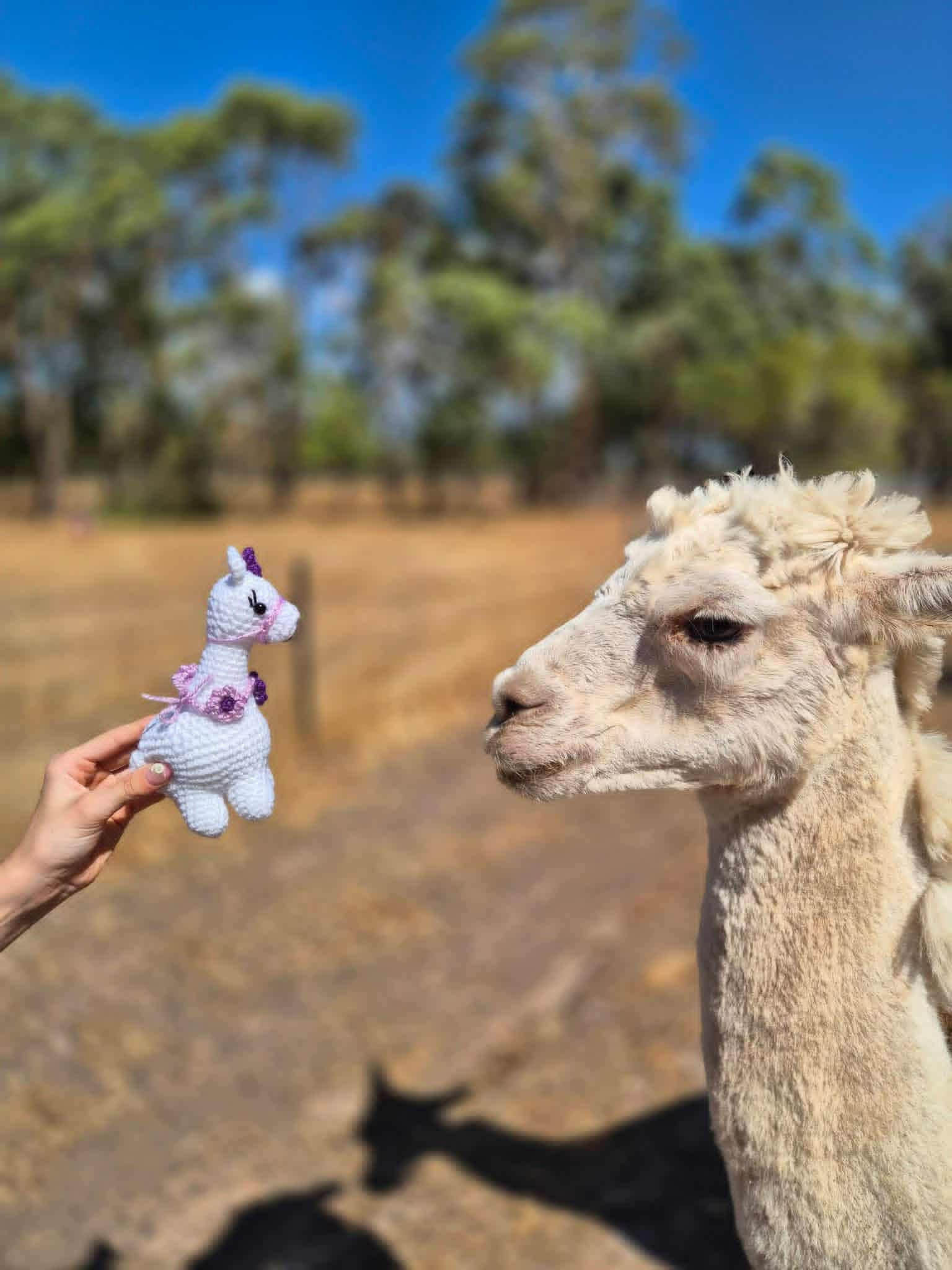 Alpaca Plushies