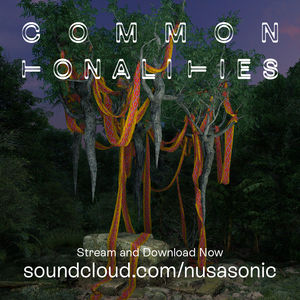 Common Tonalities (Workshop and Album)