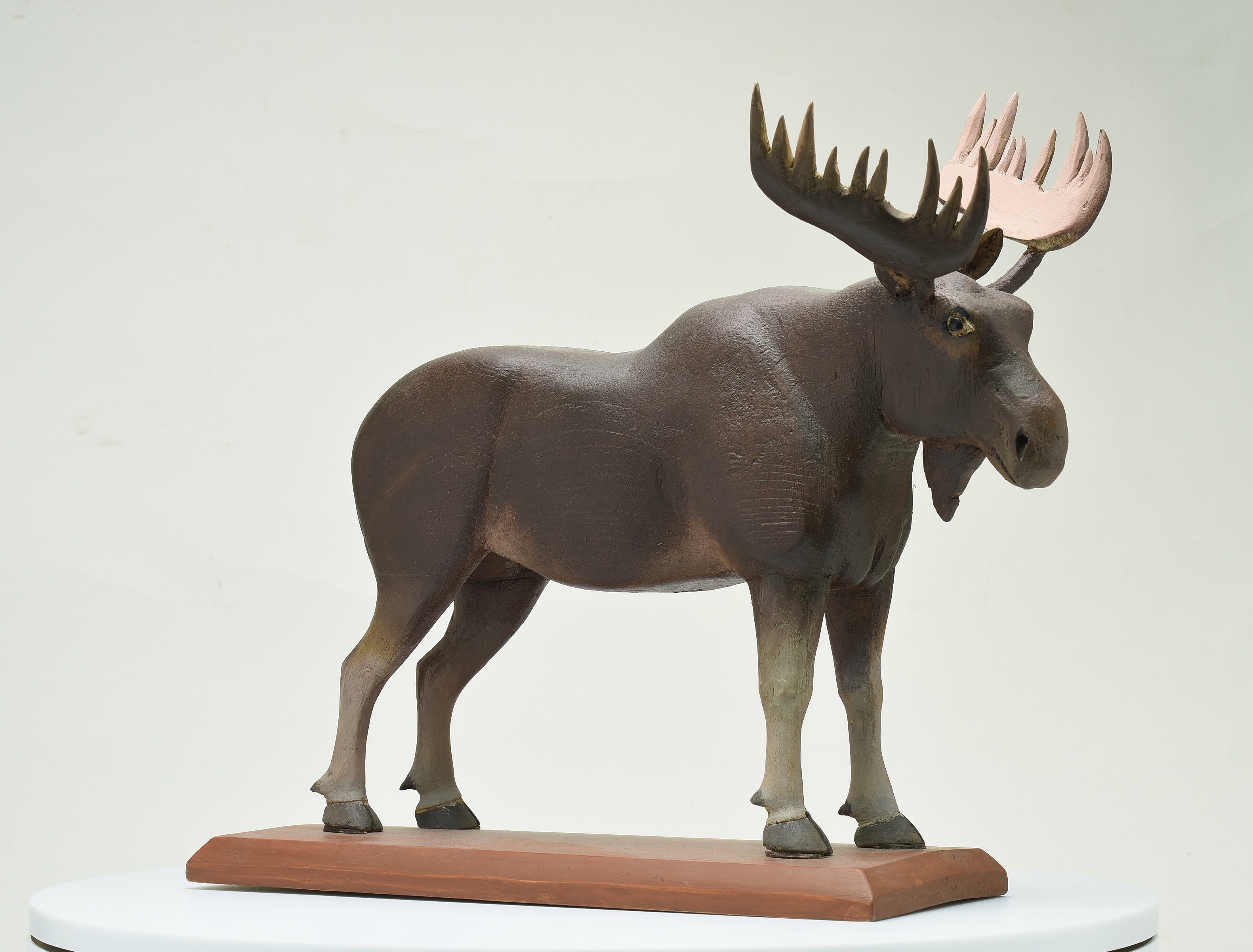 Male moose