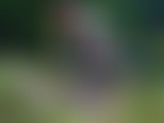 Tiges telescòpiques