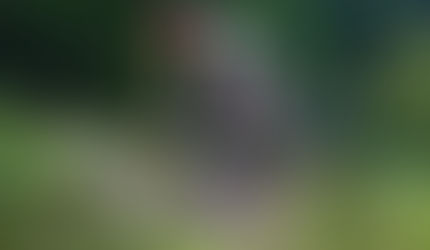 Tiges telescòpiques